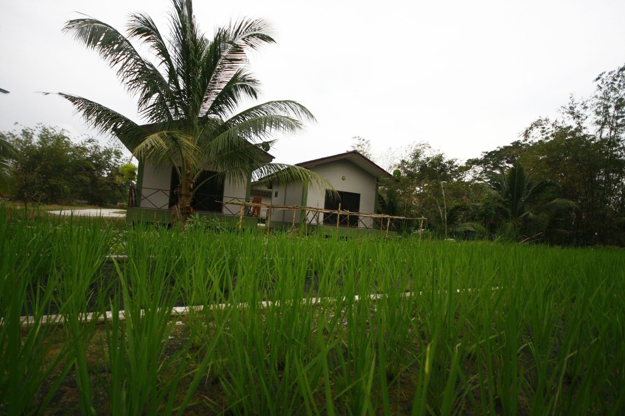 Long Lake Resort Chonburi Exteriör bild