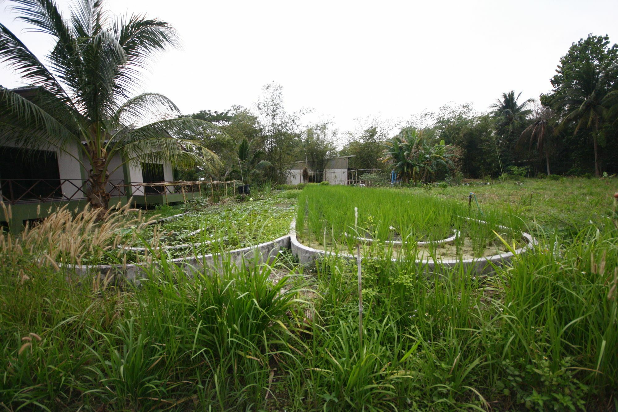 Long Lake Resort Chonburi Exteriör bild